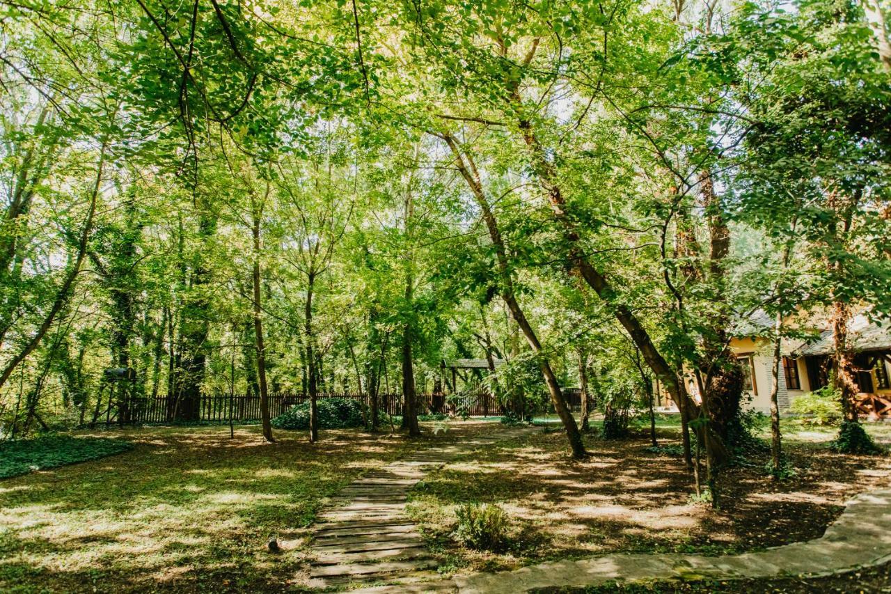 Forest House 팔릭 외부 사진