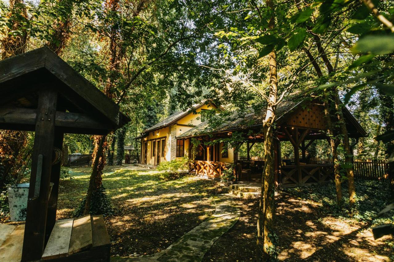 Forest House 팔릭 외부 사진