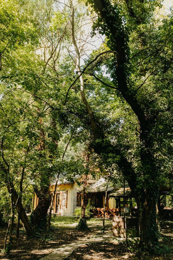 Forest House 팔릭 외부 사진