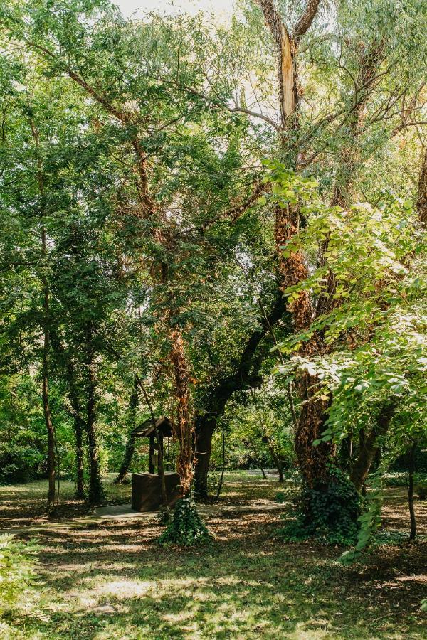 Forest House 팔릭 외부 사진