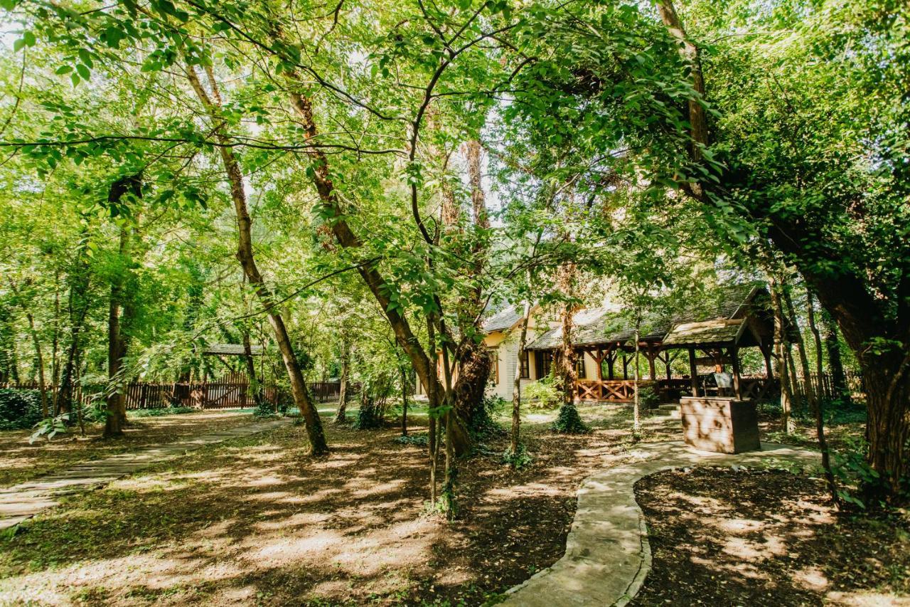 Forest House 팔릭 외부 사진